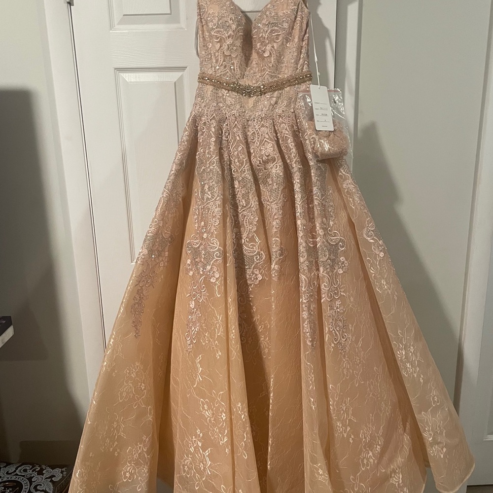 Chic Boutique Sequin Embellished Gown Cream and Pink